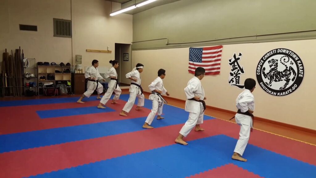 Find my dojo Karate banner