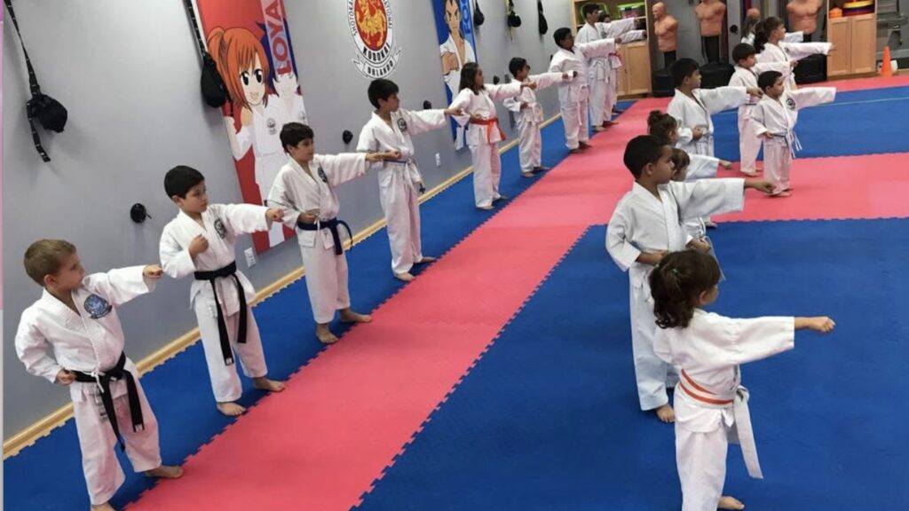 Shotokan karate dojo training session