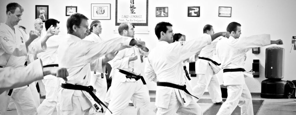 traditional adult karate class